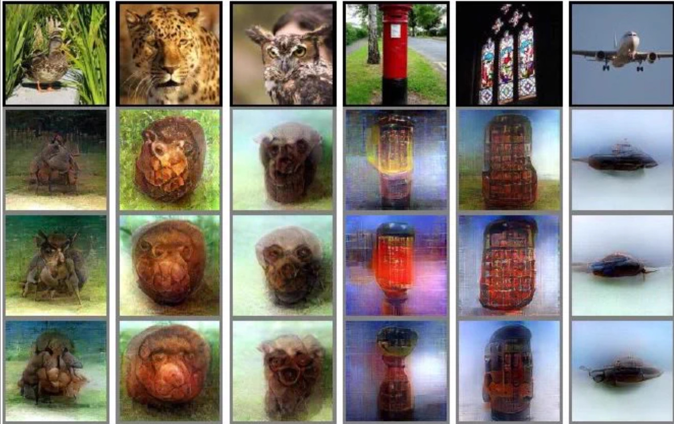Shen et al. Deep image reconstruction from human brain activity (2019). doi.org/10.1371/journal.pcbi.1006633