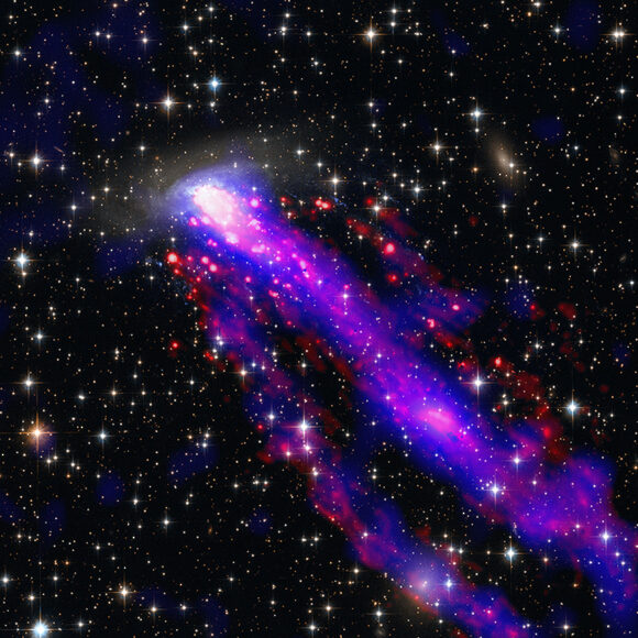 Галактика ESO 137-001 из созвездия Наугольника (расположенного очень близко к плоскости Млечного Пути), несущаяся сквозь космос со скоростью около 670 км/с. Расположенный на темном фоне со сверкающими звездами двойной хвост представляет собой розоватые разогретые газовые потоки, струящиеся внутри фиолетового ореола. Длина этого хвоста — свыше 300 тыс. световых лет. Скопления красноватых точек — атомарного водорода — кажутся движущимися вместе с хвостатой галактикой. На этом изображении рентгеновское излучение представлено в основном синим цветом