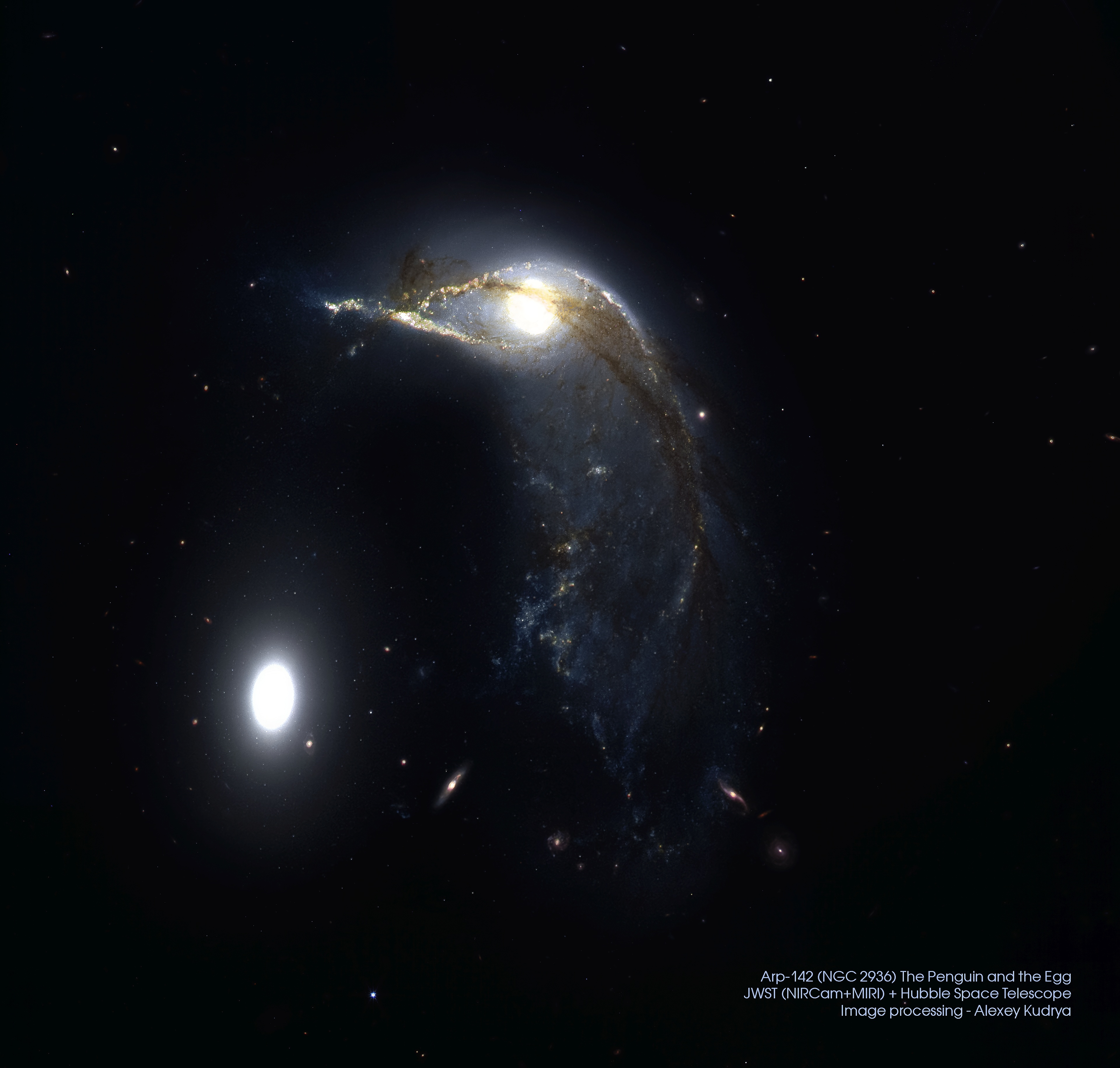Arp-142 (NGC 2936) The Penguin and the Egg JWST (NIRCam+MIRI) + Hubble Space Telescope Image processing - Alexey Kudrya