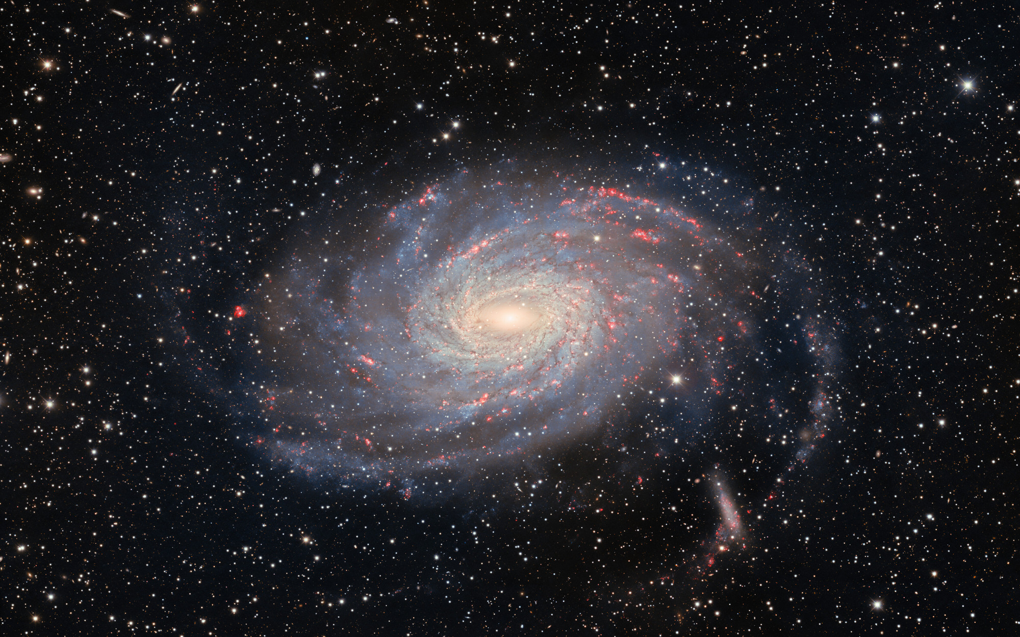 NGC 6744. Dark Energy Survey/DOE/FNAL/ DECam/CTIO/NOIRLab/NSF/AURA