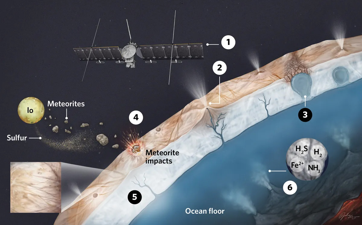 Инфографика Джулии Мур (mooreillustrations.com), показывающая, каким образом аппарат Europa Clipper будет определять, имеет ли смысл искать жизнь на покрытом льдами спутнике Юпитера
