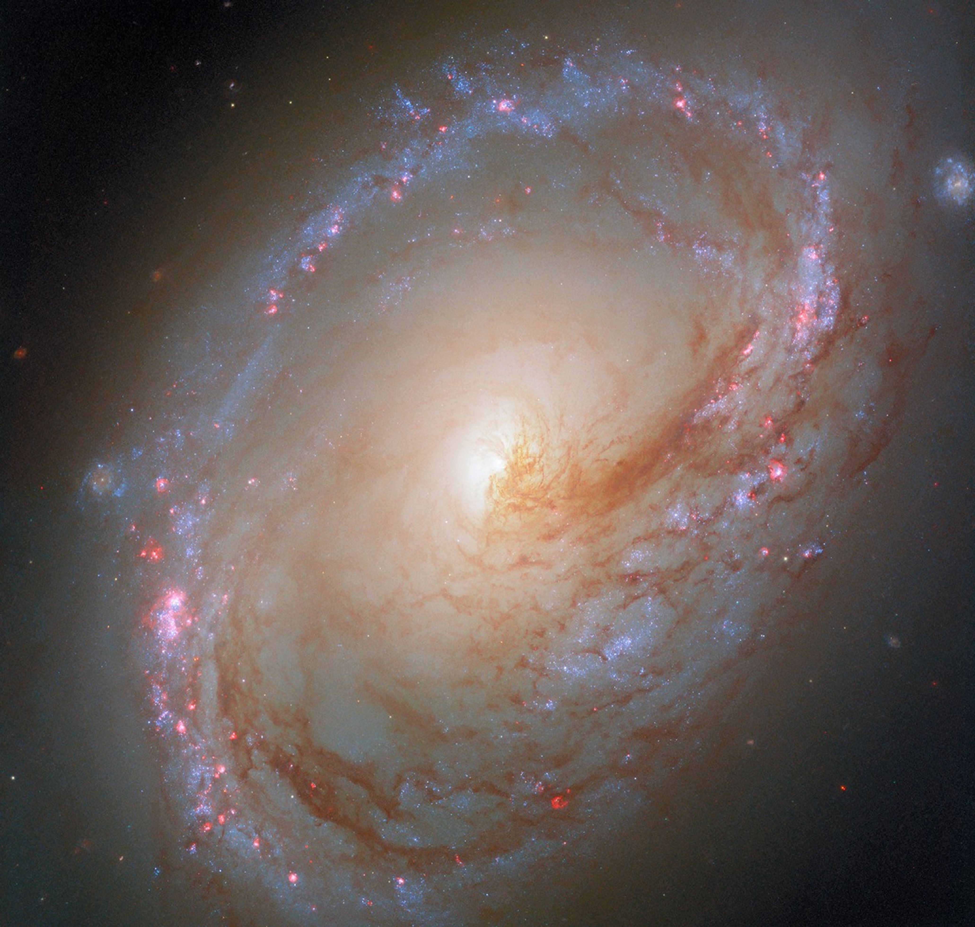 Асимметричная спиральная галактика Мессье 96. Снимок телескопа «Хаббл». ESA/Hubble & NASA, F. Belfiore, D. Calzetti