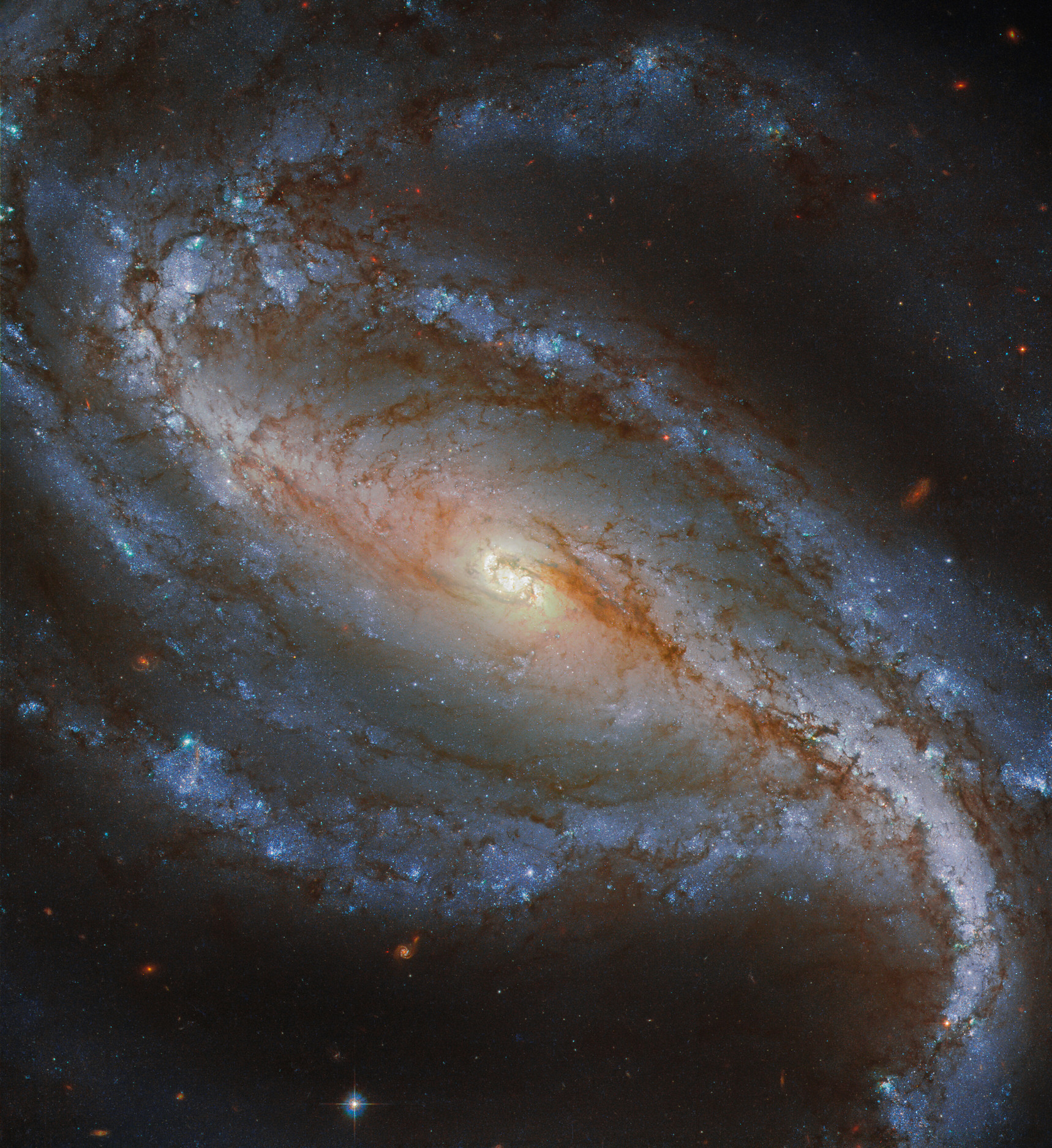 ESA/Hubble & NASA, G. Folatelli