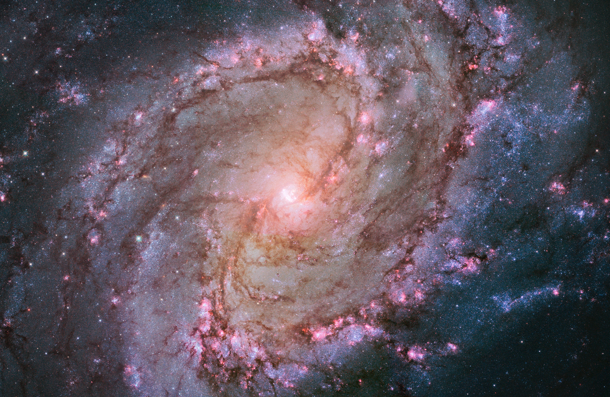 Источник: NASA, ESA, the Hubble Heritage Team (STScI/AURA)