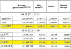 Demographics_United States_Wiki.jpg