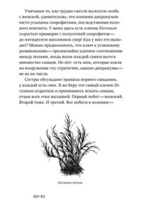Постдраматический театр мха