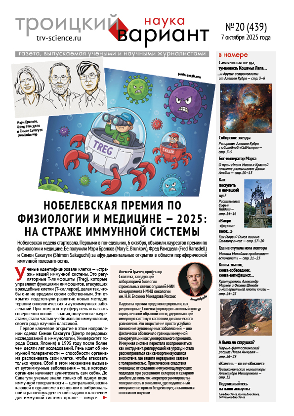 ТрВ № 20 (439) за 2025 г. НОБЕЛЕВСКАЯ НЕДЕЛЯ: На страже иммунной системы
